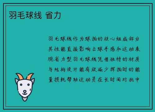 羽毛球线 省力
